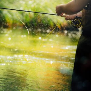 Att fånga njutningen av att fiska